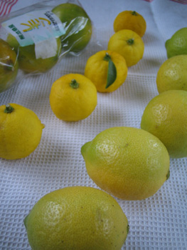 無農薬レモンと柚子