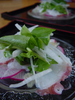 料理,タコマリネ