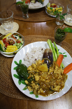 豆腐のヘルシーカレー